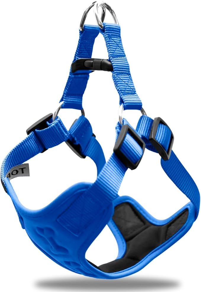 Blue color dog harness