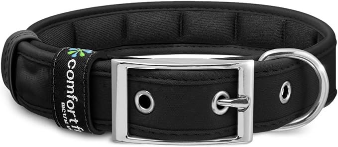 Black color dog collar