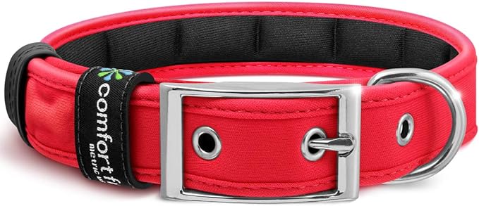 Red color dog collar