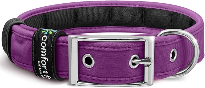 Purple color dog collar