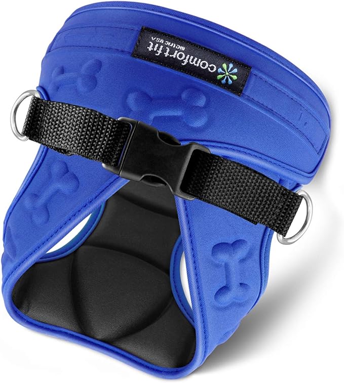 Blue color dog harness
