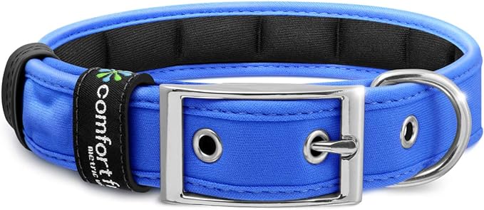 Blue color dog collar