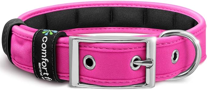 Pink color dog collar