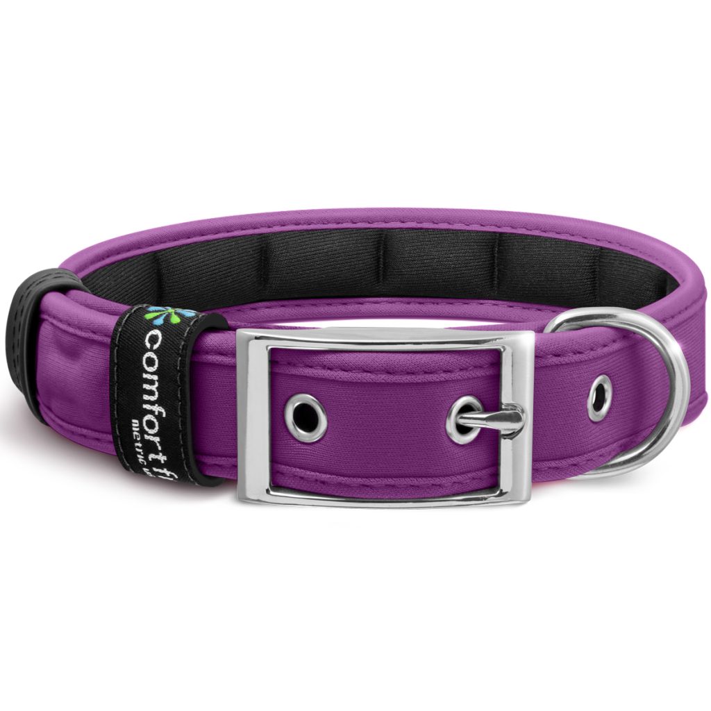 Purple color dog collar
