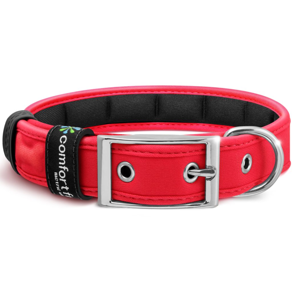 Red color dog collar